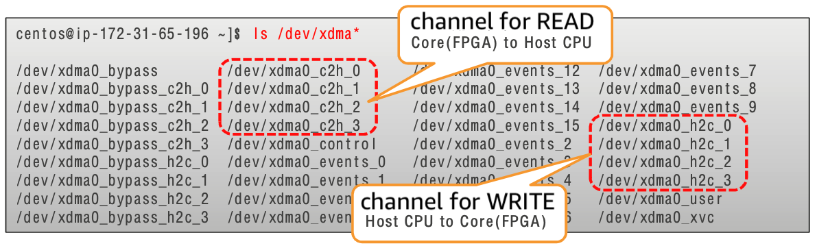 confirmation-of-setup-ls-dev-xdma